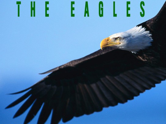 EagleLoan: Soaring to Financial Freedom with Eagle Loan