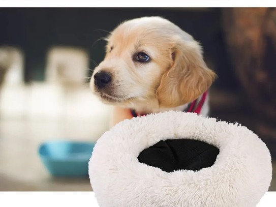  "Ultimate Guide to Secret Life of Pets Snowball Plush: The Must-Have Collectible for Fans and Pet Lovers"